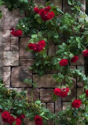 SSamy3131's profile picture. 