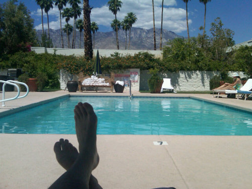 webrehova's profile picture. 