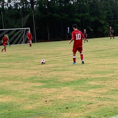 DanielTal51's profile picture. 