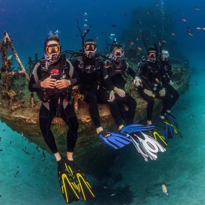 MattTindall6's profile picture. 