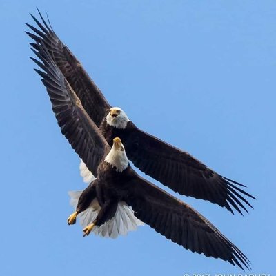 shamodroe's profile picture. Bersyukur dan menikamti indahnya karunia Allah