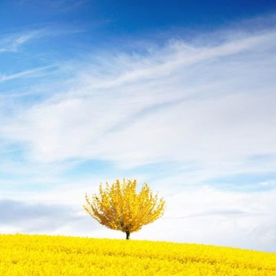 Yop93015875's profile picture. Tio con ganas de conocer