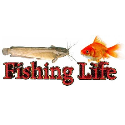 nguyennambk99's profile picture. 