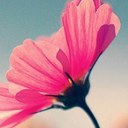 Kaitlyn Mathews - @percussion_nerd - Twitter