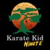 Karate Kid Minute (@karatekidminute) artwork