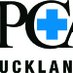 SPCA Auckland (@spca_auckland) Twitter profile photo