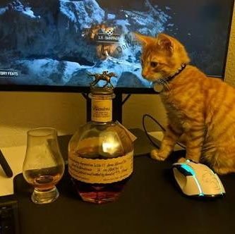 Shalini11251871's profile picture. believer