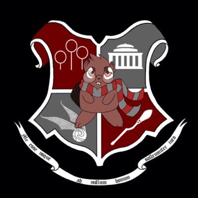 We play quidditch! If you need to contact us, please email quidditch-execs@mit.edu.