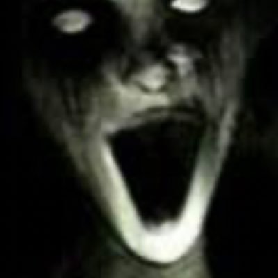 Ud Ud40379904 Twitter