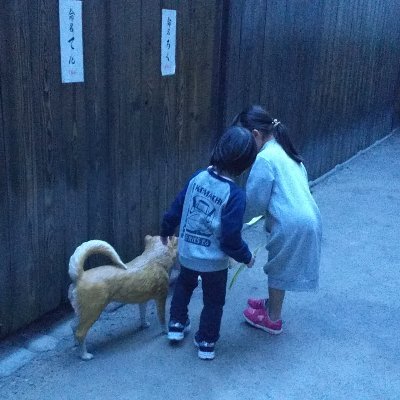 多肉植物、文鳥、インコ、海釣り、DIY、節約、晩ごはん、野草好き、YouTubeチャンネル①こまりえマーマ
②こまりえ(多肉植物)①https://t.co/by3KfC0hXK
②https://t.co/7rkuDv0HAR