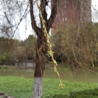 Jerry42331129's profile picture. I love China