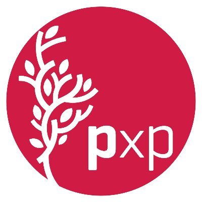 PxP_LAC Profile Picture