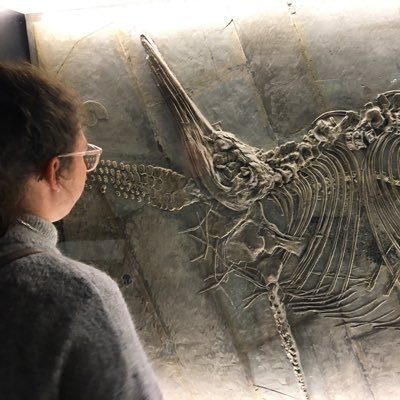 f_seever's profile picture. Doktorandin der Geschichtsdidaktik (Universität Leipzig) @HISTOdigitaLE #Geschichtsdidaktik #PraxisdigitaliS #digitaleSammlungen #OER