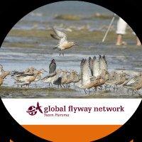 Global Flyway Network(@GlobalFlyway) 's Twitter Profile Photo