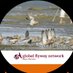 Global Flyway Network (@globalflyway) Twitter profile photo Global Flyway Network (@globalflyway) Twitter profile photo