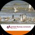 Global Flyway Network Profile picture