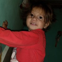 Luz Gonzalez (@luzgonz61107034) 's Twitter Profile