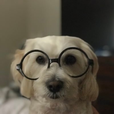 AddMoreGas1's profile picture. Constantly irradiated. Perpetually eating. Interminably car crazy. 20+ yrs CVL, now MD&D industry. Opinions and satire are probably retweets.