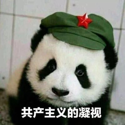 SinJoelYu1's profile picture. Communism, Founder of TrumpAlwaysRighT Group