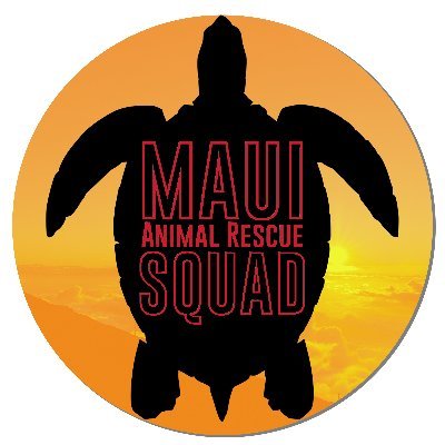 On the charming island of Maui, a small team of courageous young animal-saving friends have come together to form 
M.A.R.S. | Maui Animal Rescue Squad.