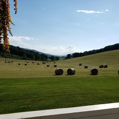 NdnOld's profile picture. 20+ year HS basketball/football coach, fan of all Hokie sports