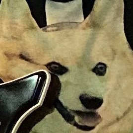 lilreveries's profile picture. 