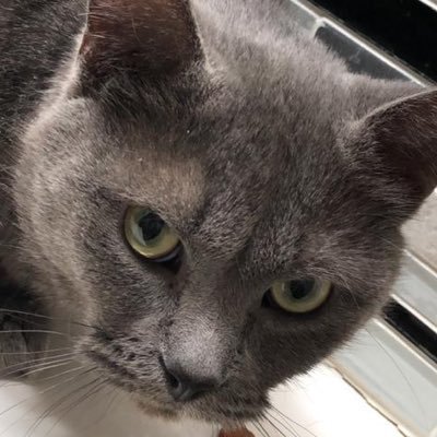 TheGm_1's profile picture. Free thinker