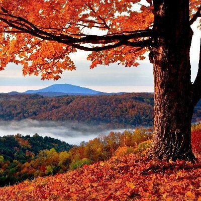 Rdl_52's profile picture. 