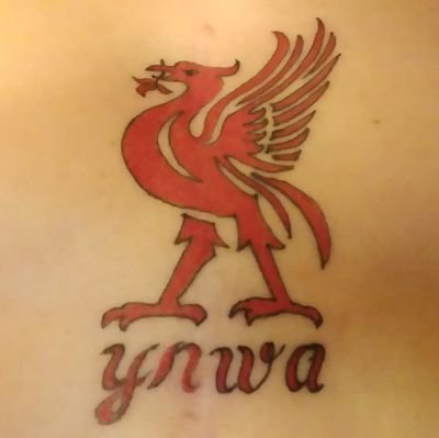 Massive Liverpool FC supporter.
Enjoy a little flutter now and then.