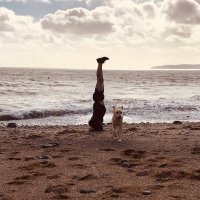 Shay Shanahan (@plumbtechirl) 's Twitter Profile