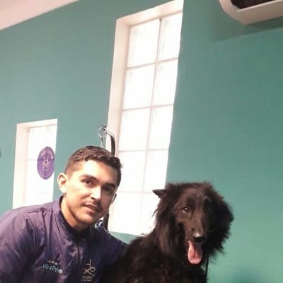 doidosporpet's profile picture. sou profissional estecista canino.