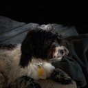 Leah Mack - @LeahMac20283620 - Twitter