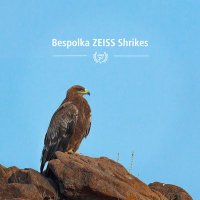 Bespolka Zeiss Shrikes(@ZeissShrikes) 's Twitter Profile Photo