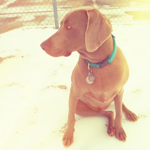 tlmelgarejo's profile picture. 