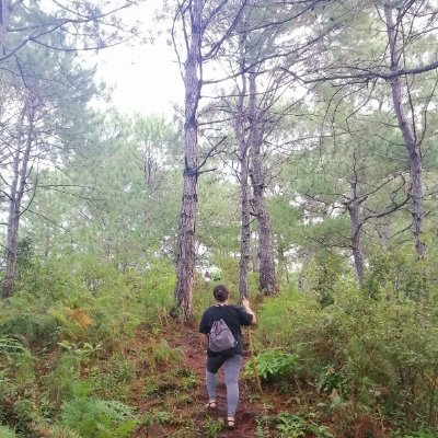 elimariaaa's profile picture. Web Developer @CreativeQuoin