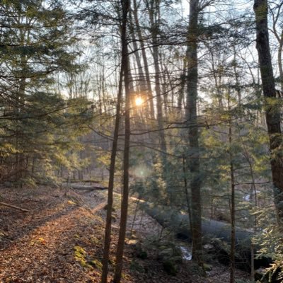 EzAf_Clan_EzAf's profile picture. Hi