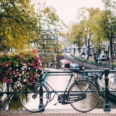 iPhone19870's profile picture. 