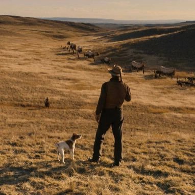 jfernandezrguez's profile picture. 