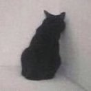 daddys_deskpet's profile picture. British, transgirl, 5’5”, 55kg, 〈 5” 🔑 ⠀ ⠀ ⠀ ⠀ ⠀ ⠀ Branded by my Boss: @Alfa_Primal