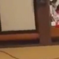 きよくん (@kiyokun168) 's Twitter Profile