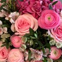 VEGGIE - @barb_lau - Twitter