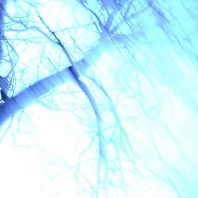 sdmodiano's profile image