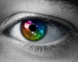 L'oeil se porte particulièrement sur les bouquins et les arts, mais l'oreille se tend vers la musique. Mais surtout l'observation de la société!