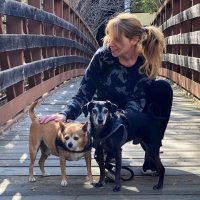 Stefanie Reines (@stefaniereines) 's Twitter Profile
