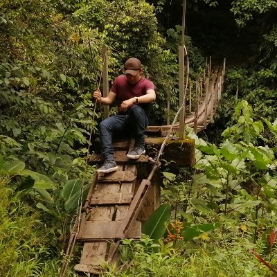 AlbercaFernan's profile picture. Arquitecto