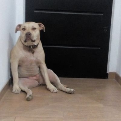 Lechuza2709's profile picture. 