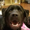 Jack Bigelow - @JackBigelow11 - Twitter