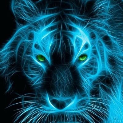 DanielVQ8's profile picture. 