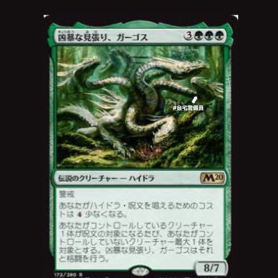 凶暴な見張り ガーゴス My Eye Is White Twitter