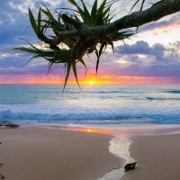 Andrea Gould (@andygouldy) 's Twitter Profile